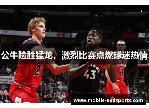 公牛险胜猛龙，激烈比赛点燃球迷热情