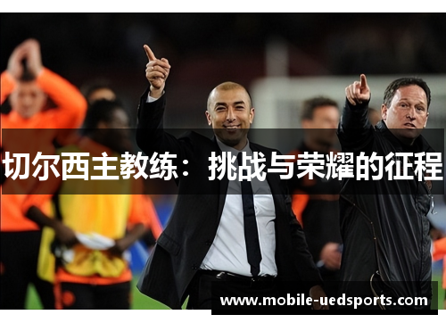 切尔西主教练：挑战与荣耀的征程