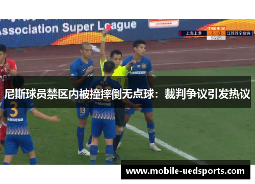 尼斯球员禁区内被撞摔倒无点球：裁判争议引发热议