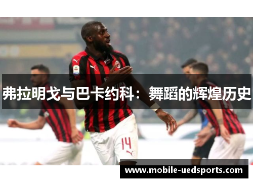 弗拉明戈与巴卡约科：舞蹈的辉煌历史